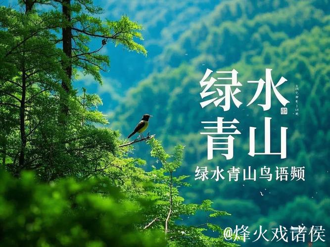 漫步伊人青青草，聆听自然之声